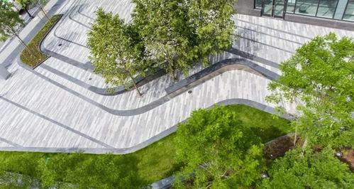 一棵樹,一片池,一個(gè)造型,變美景 旅游 網(wǎng)